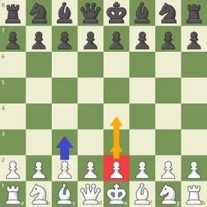 اولین حرکت مهره پیاده